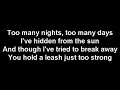 Celine Dion - Shadow of love {lyrics}