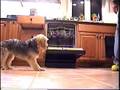 videos de Mickey plays ball