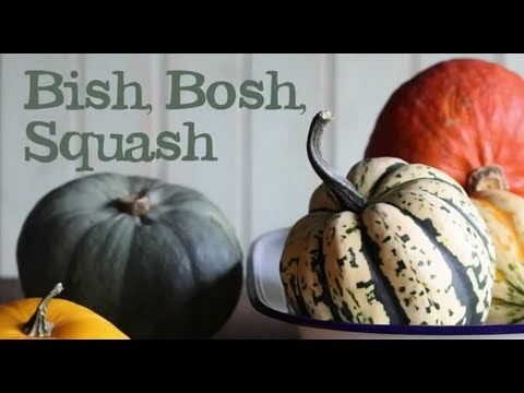 how to harvest gem squash