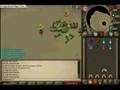 fire rebirth's first kq solo ever