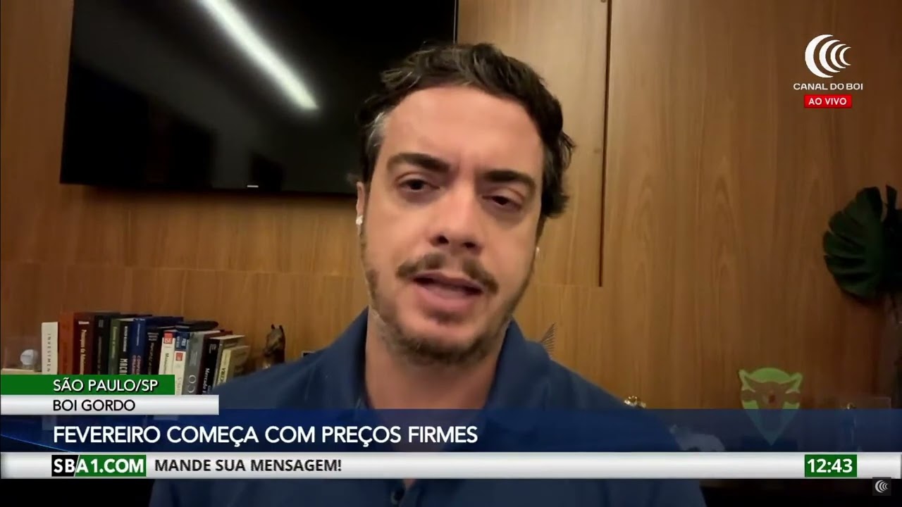 Pressão da indústria não tira equilíbrio do mercado do boi gordo