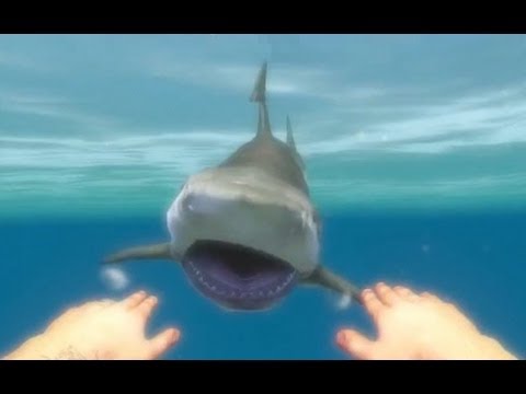 how to skin a shark