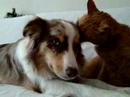 Gaia en Dennis Gaia en Dennis