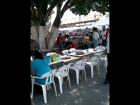alvaro obregon michoacan - primera feria de la rana.