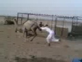 غرائب