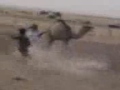 غرائب