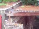 Squirrel on a cold tin roof
