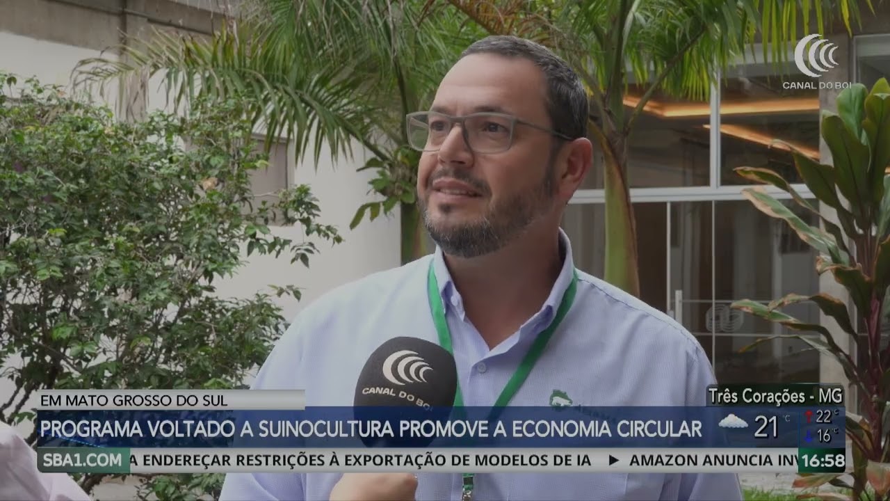Programa voltado a suinocultura promove economia circular em MS