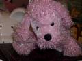 Webkinz