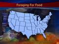 Freegan Way Of Life (CBS News)
