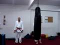 videos de Yoko tobiguery