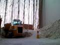 LR632 alokocat diggin 1 002