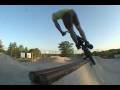 Bobbie Altiser Web Video
