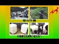 Click here to watch this video 三次市甲奴町商工会青年部の活動