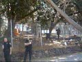 UC Berkeley Police Squad!: Prop Comedy