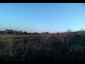 Motard & Motocross FreeStyles 50cc Beta Ktm