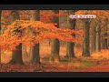 Surah Nur - Beautiful Recitation