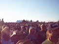 Neal McCoy Hillbilly Rap 2007 Neal McCoy Hillbilly Rap 2007
