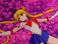 Usagi\