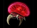MP2 metroid Icon MP2 metroid Icon