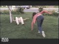 Celeb Watch: Nicolette Sheridan Back on Wisteria Lane Celeb Watch: Nicolette Sheridan Back on Wisteria Lane