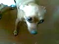 Panky