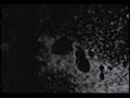 TOOL - Aenima