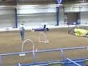 12-14-08 Jeter NADAC Touch N Go 1st Trial.AVI 12-14-08 Jeter NADAC Touch N Go 1st Trial.AVI