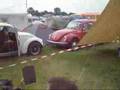 Budel 2008