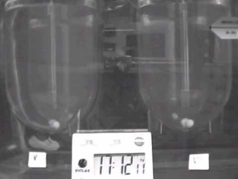 how to dissolve hpmc