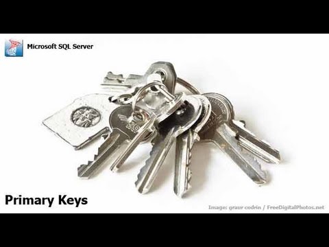 how to set primary key in sql