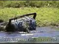 www.golfquip.net: Onderwater-Golfballen-Verzamelaar