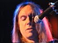 Iggy Pop acoustic
