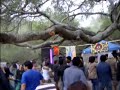 audiopathik psyfest 5