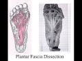 foot and plantar fascia massage-stretch