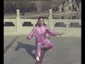 Taijiquan (???): 48 step-form (?????Su Renfeng Taijiquan (???): 48 step-form (?????Su Renfeng