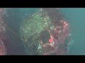 POWER SCUBA Labor Day 2009 dives