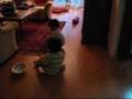 Go Fish!