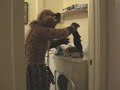 junip hyena folds laundry