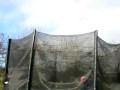 trampoline