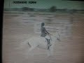 Equitazione Equitazione