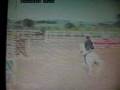 Equitazione