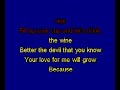Madonna Karaoke: Like It Or Not (Confessions Tour Version) Madonna Karaoke: Like It Or Not (Confessions Tour Version)