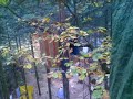 Waldbesetzung Kelsterbach