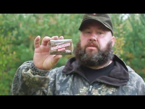 приманки на медведя видео приманки на медведя видео