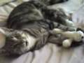videos de 05-10-07 0742