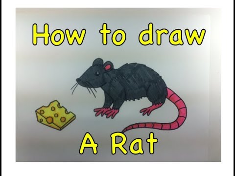 video-linktoworks-How to Draw a Rat - YouTube