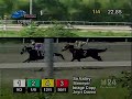 Stoneyer-Carrera en 1,200 mts.