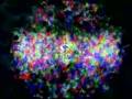 quark