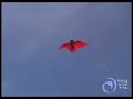 New Tech Bat Kite